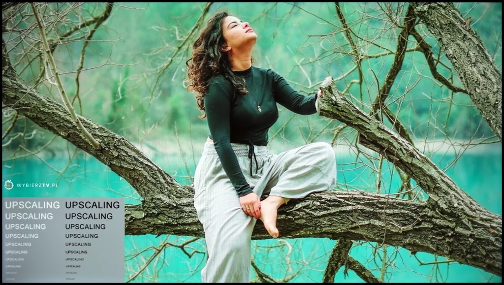Review Sharp GP6765 section Upscaling and digital image processing, shot with a model