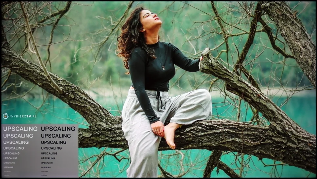 Review Sharp FQ8 section Upscaling and digital image processing, shot with a model