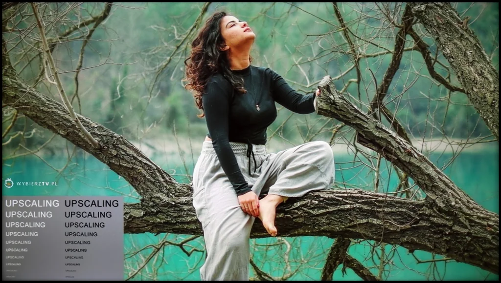 Review Sharp GR8 section Upscaling and digital image processing, shot with a model
