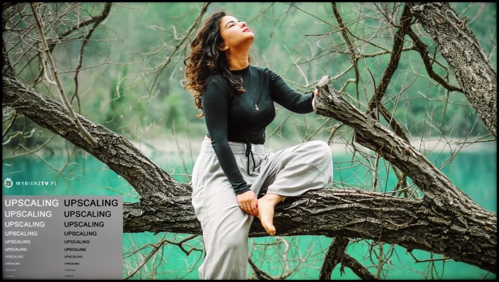 Review Panasonic W70A section Upscaling and digital image processing, shot with a model