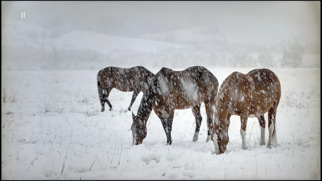 Review LG QNED93A / QNED90A section HDR effect quality, Static HDR10