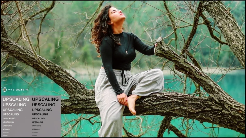 Review Panasonic Z95B section Upscaling and digital image processing, shot with a model