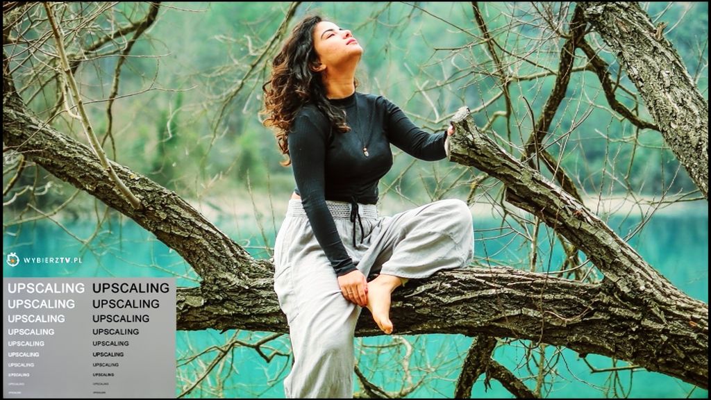 Review Dreame S100 section Upscaling and digital image processing, shot with a model