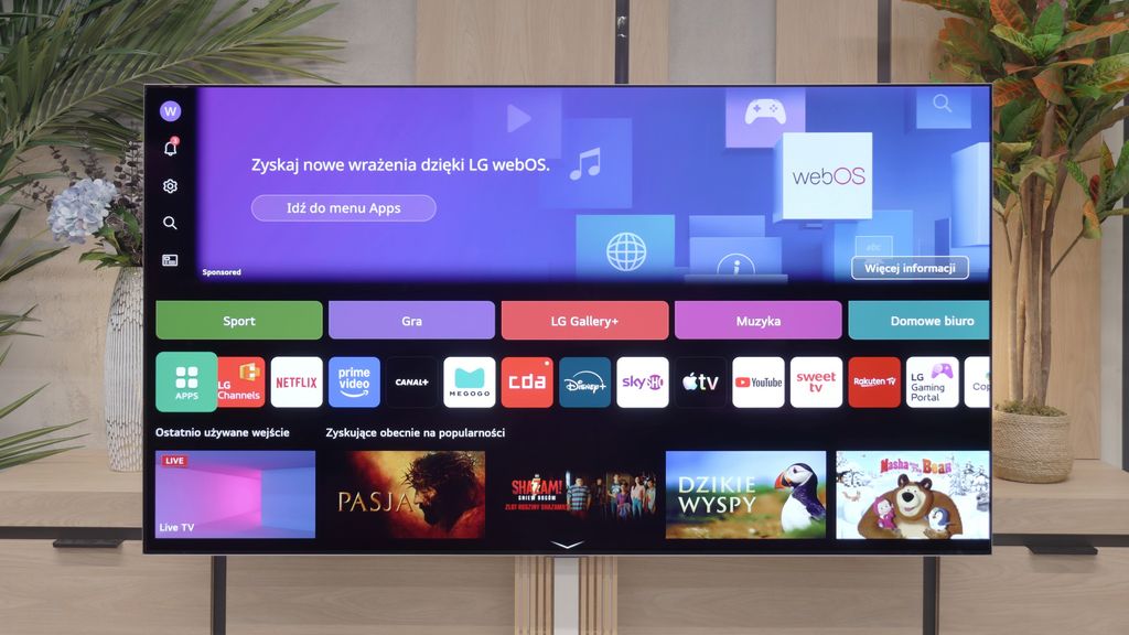 Review LG OLED G6 (G64LW, G66LS) Appearance of the TV