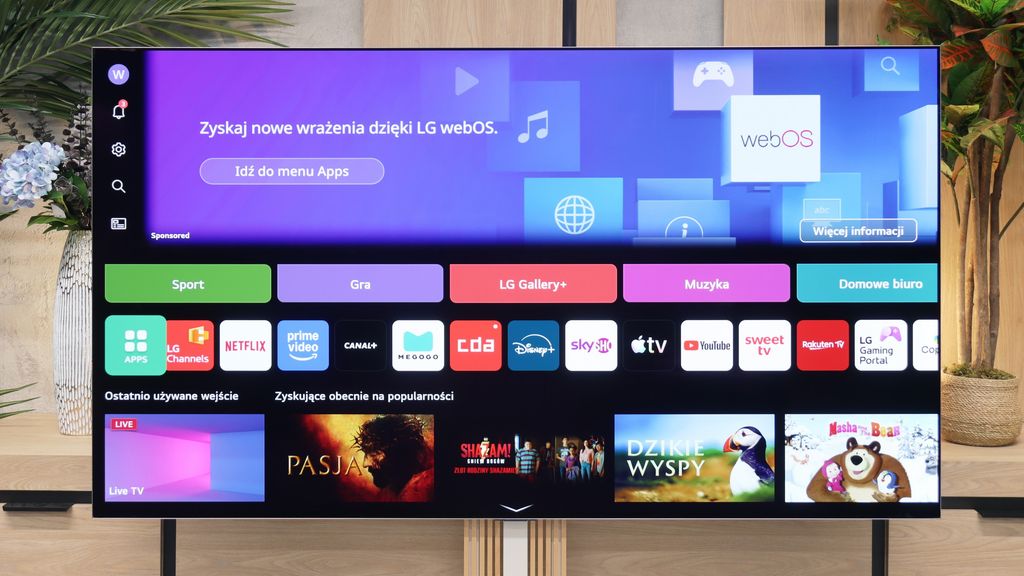 Review LG OLED G6 (G64LW, G66LS) Appearance of the TV