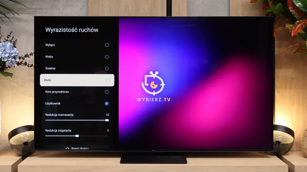 Review TCL RM7L Blur and motion smoothness