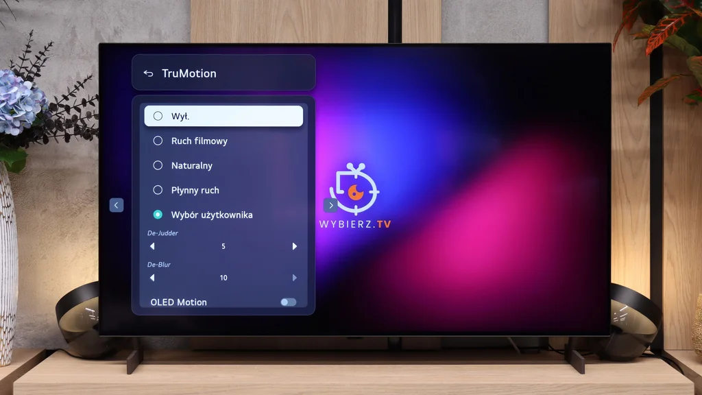 Review LG OLED B6 Blur and motion smoothness
