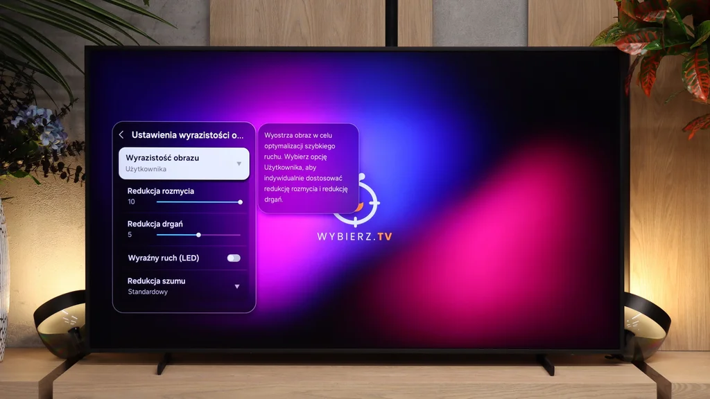 Test Samsung The Frame Pro 2026 (LS03HW) Smużenie i płynność ruchu