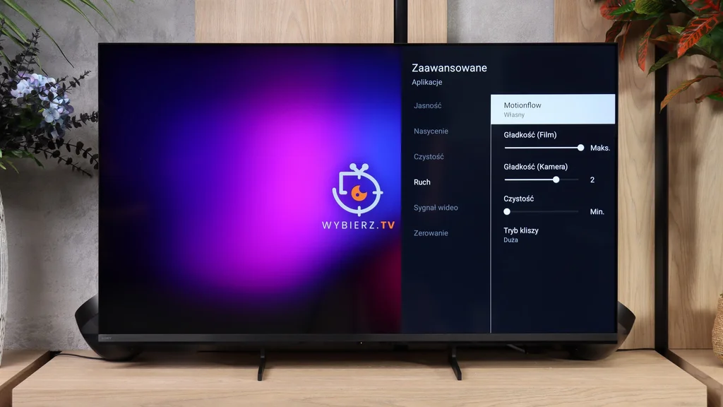 Review SONY BRAVIA 3 II (XR35M2) Blur and motion smoothness