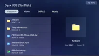 Review TCL P755 Appearance of the TV