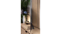 Review Samsung S85H Appearance of the TV