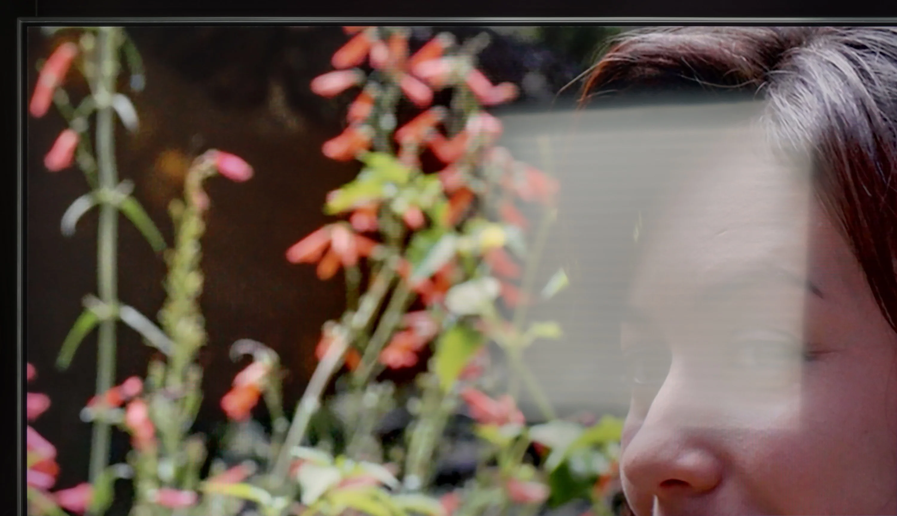 Review Samsung QLED Q70D / Q74D / Q77D Daytime performance
