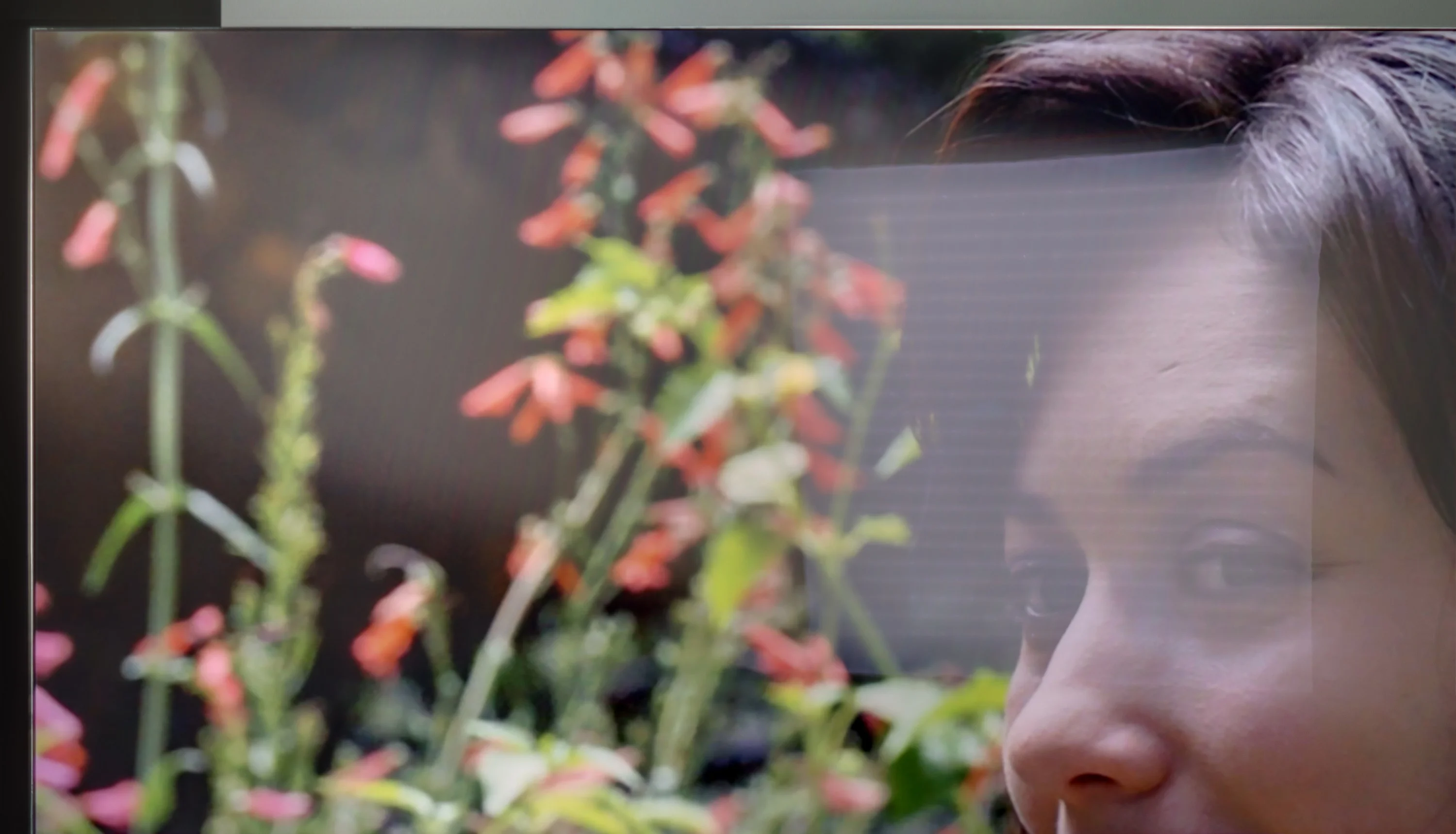 Review Samsung QN900D Neo QLED 8K Daytime performance