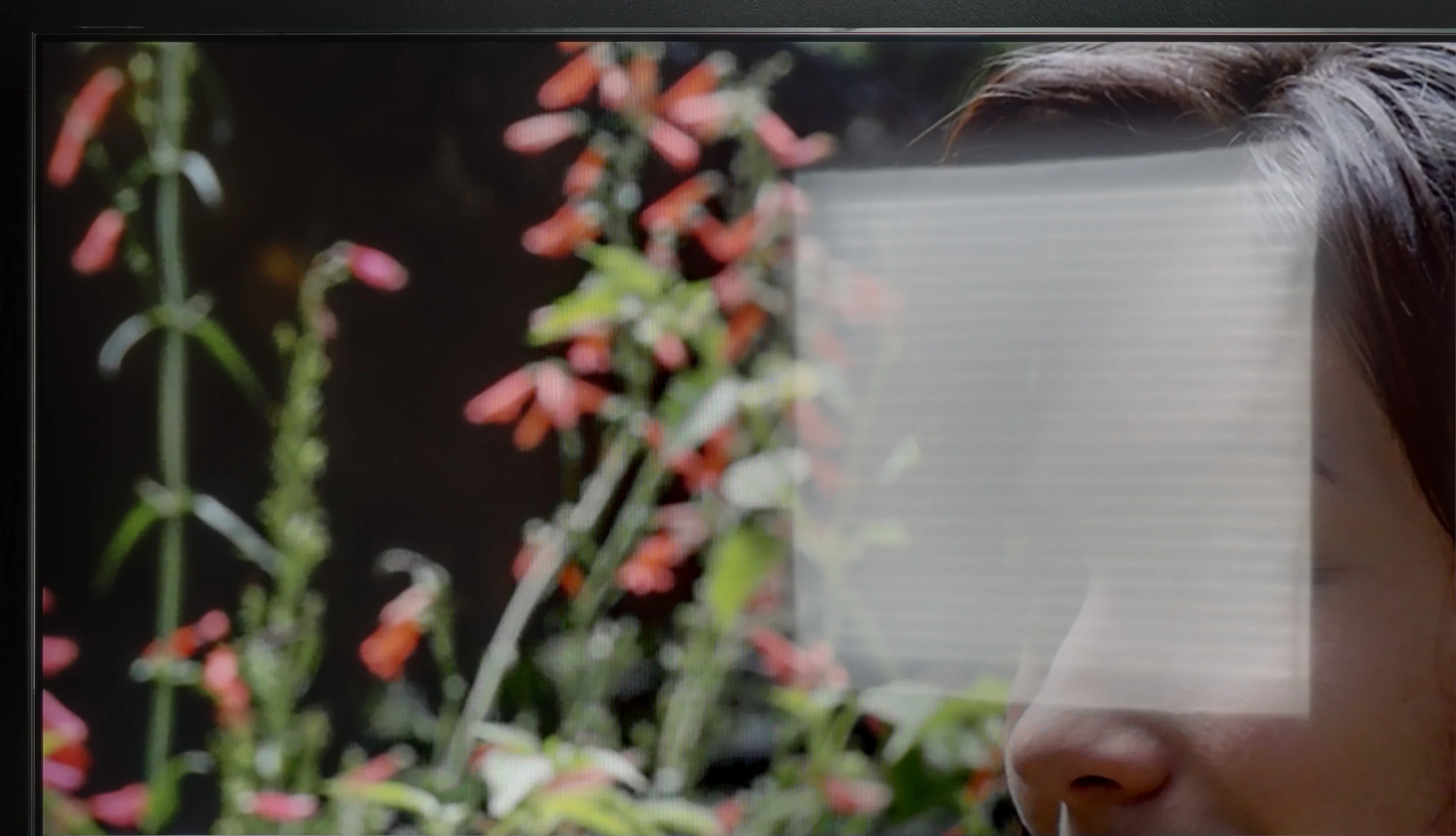 Review Samsung DU8002 (IPS) Daytime performance