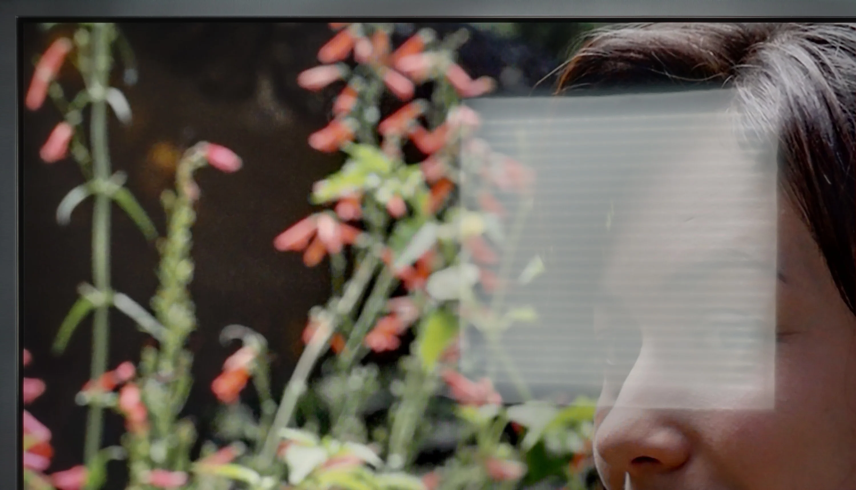 Review LG QNED87T6B Daytime performance