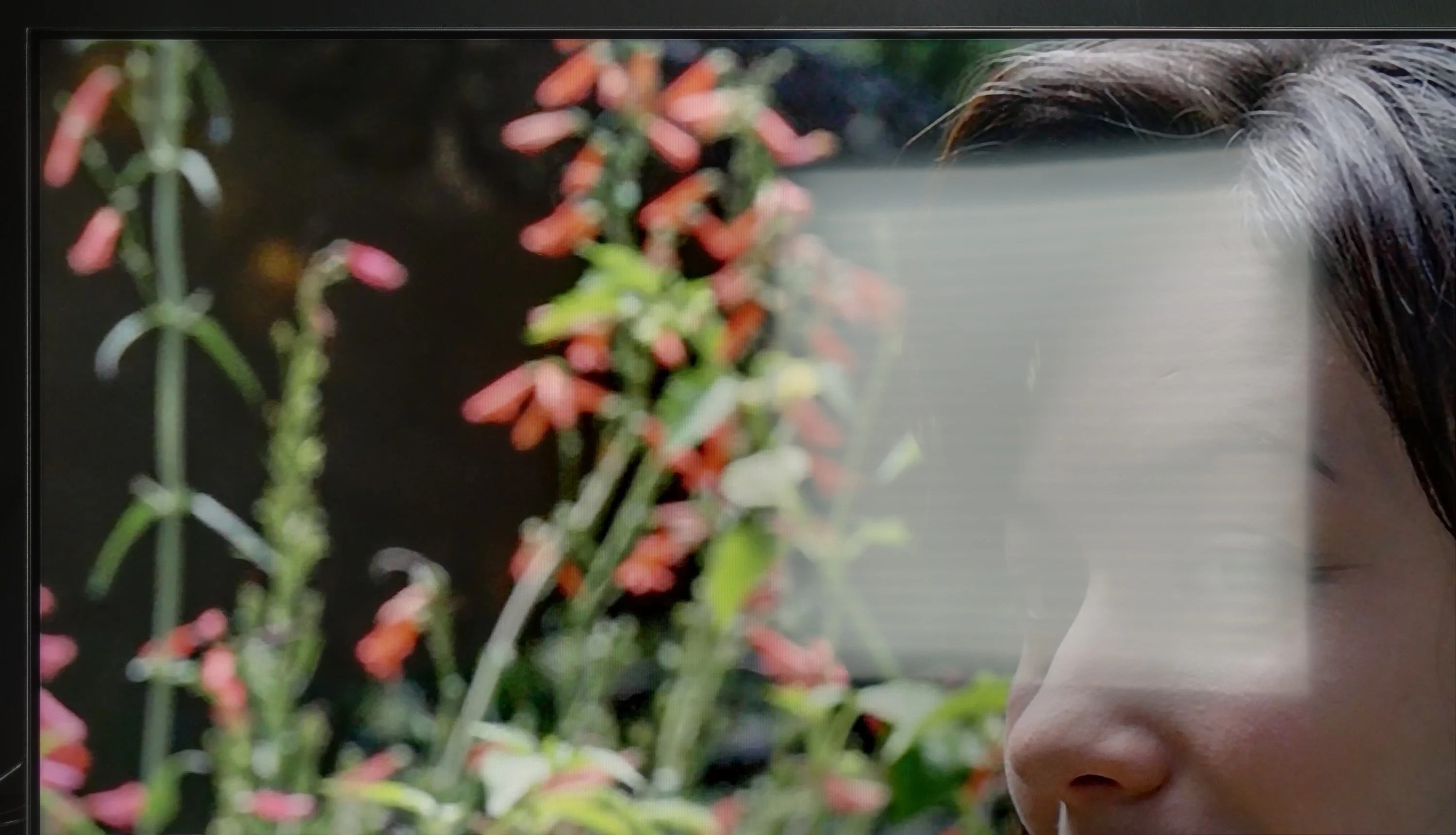 Test TCL C655 / C69B  (43" - 50") Sprawność ekranu w dzień