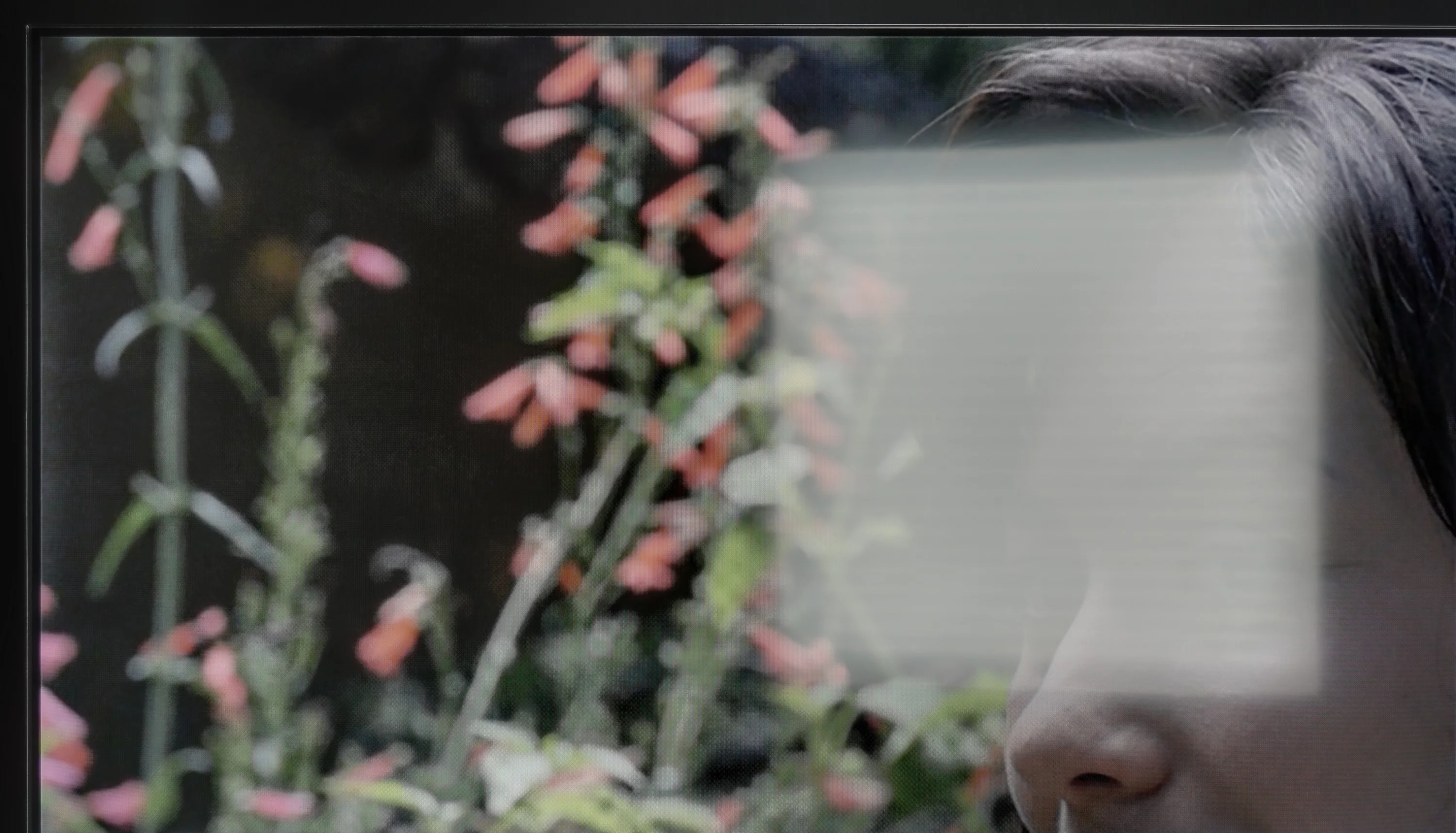 Review XIAOMI A PRO 2025 Daytime performance