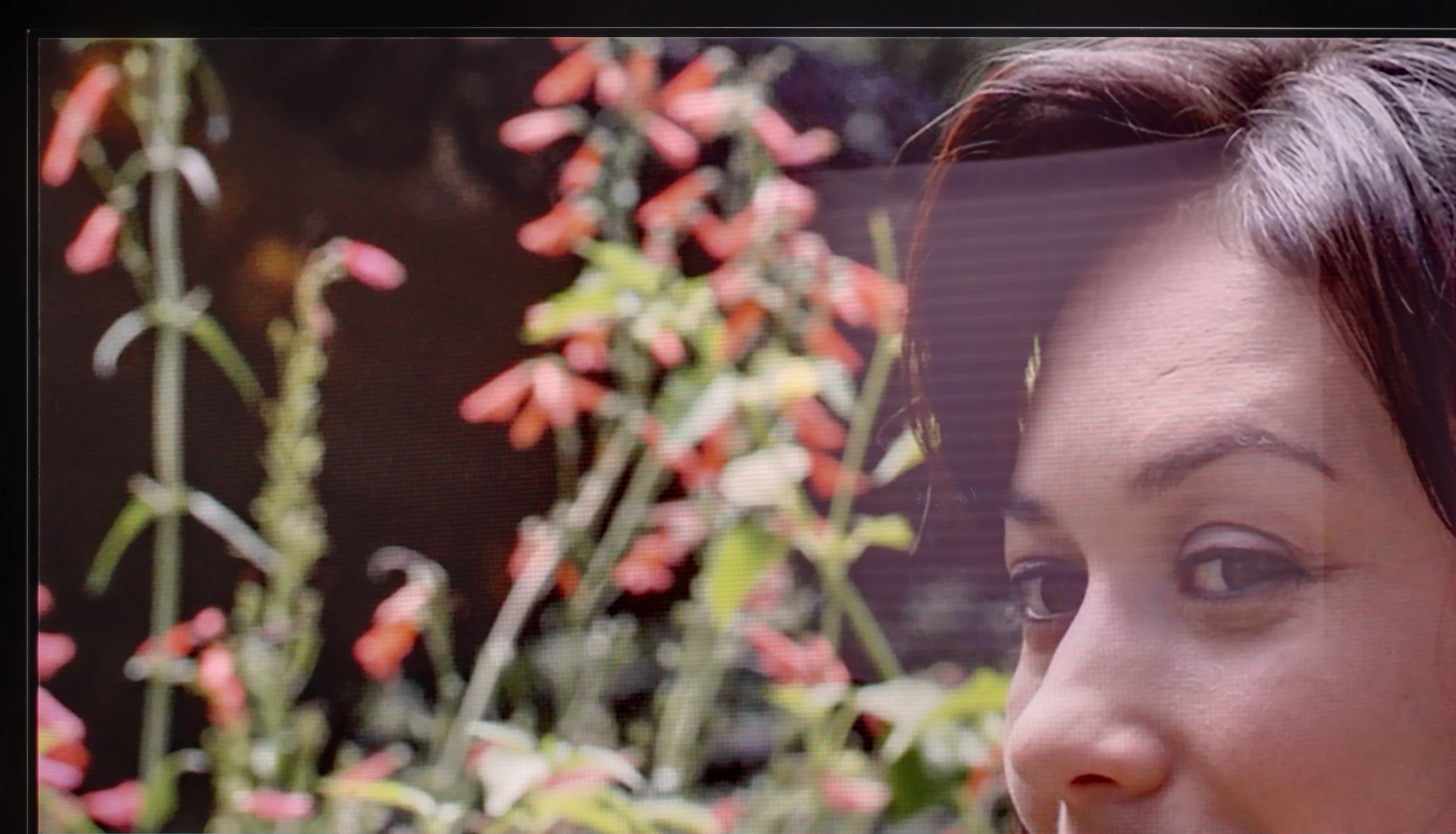 Review Sony A95L Daytime performance
