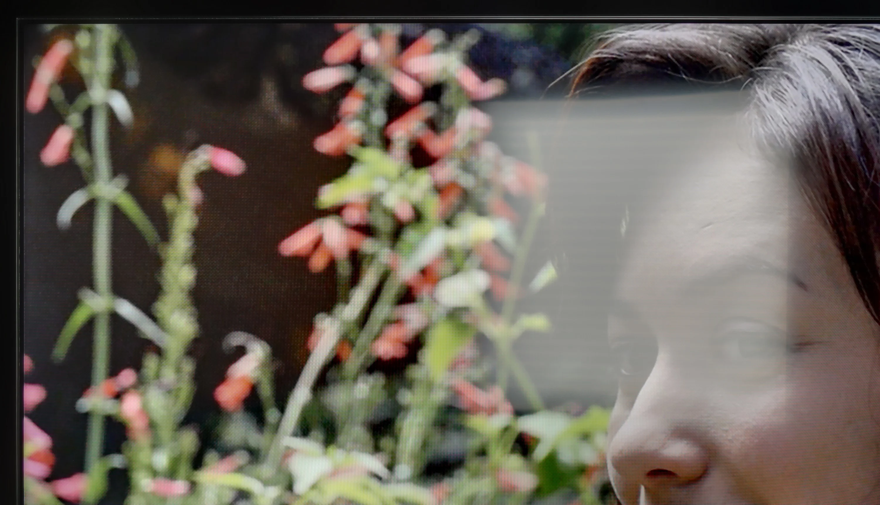 Test Sony X85L Sprawność ekranu w dzień