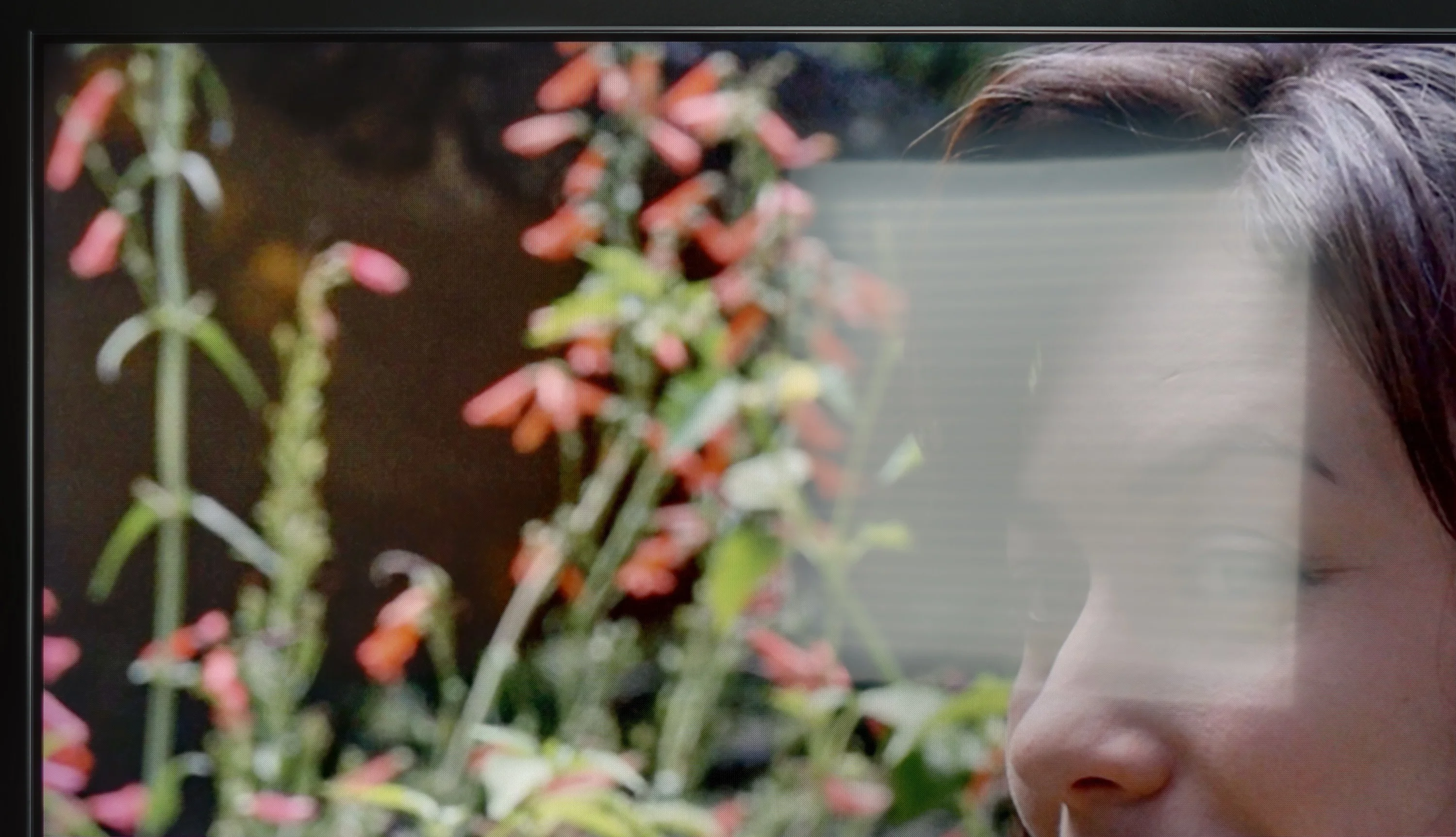 Review LG QNED91T6A Daytime performance
