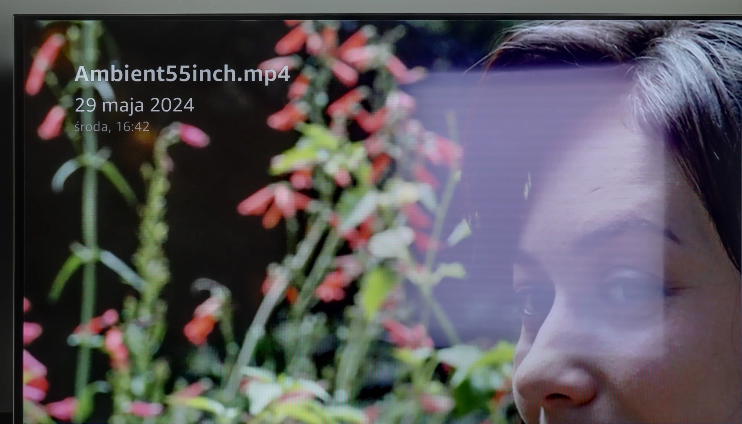 Review Panasonic Z85A Daytime performance