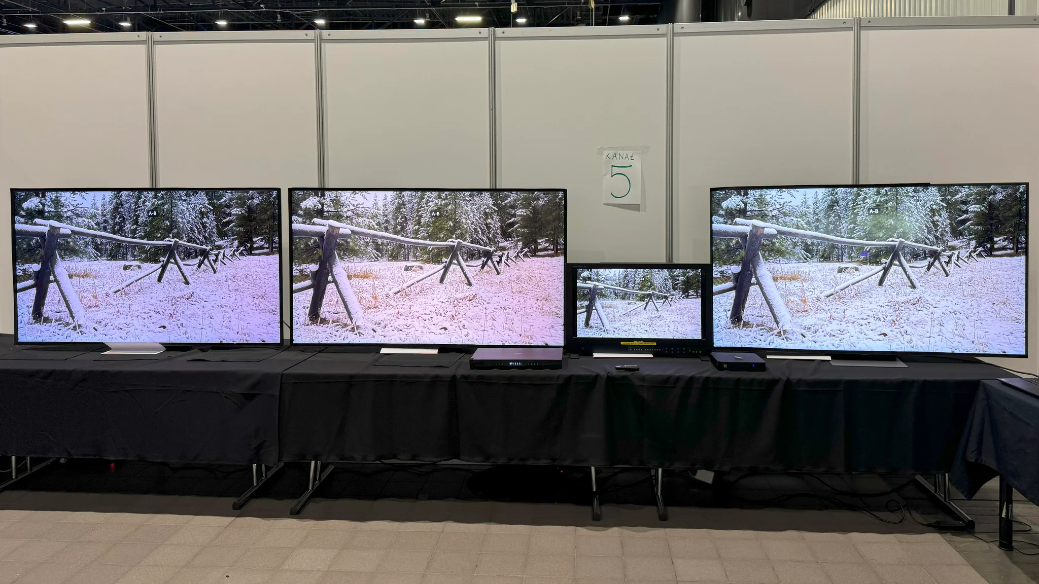 From the left: 1. Factory settings, 2. "Market" optimisation, 3. Professional monitor for 200 thousand zlotys, 4. TV after calibration.