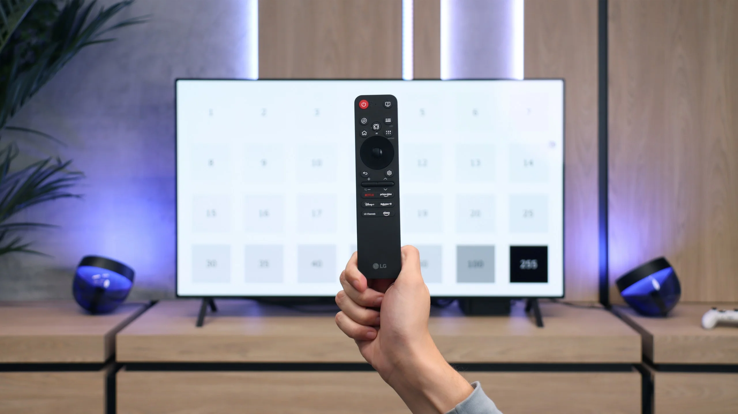 Review LG OLED B5 Appearance of the TV