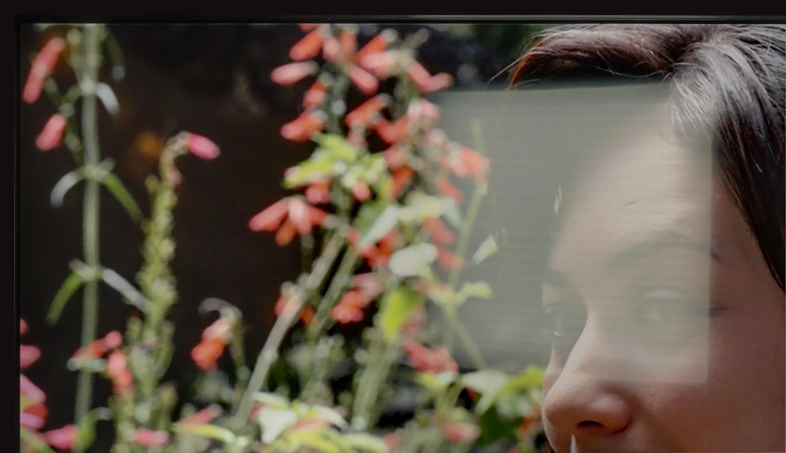Review Samsung Neo QLED QN70F / QN74F / QN77F Daytime performance