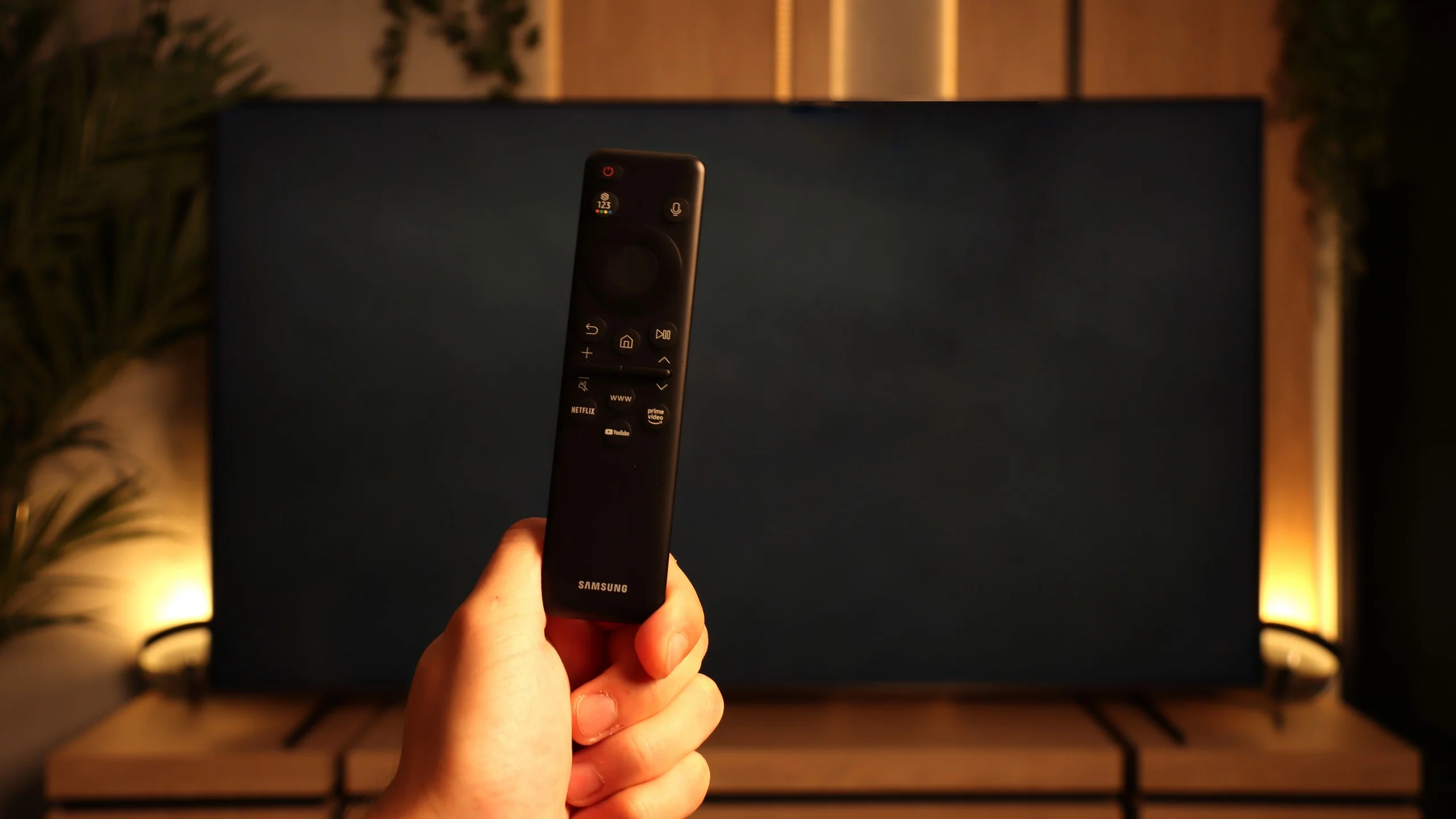 Review Samsung QN80F 100"  TV features