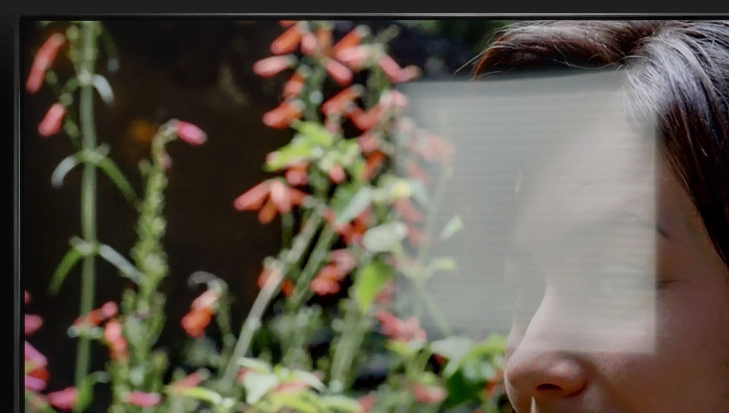 Review LG QNED86A / QNED85A / QNED87A Daytime performance