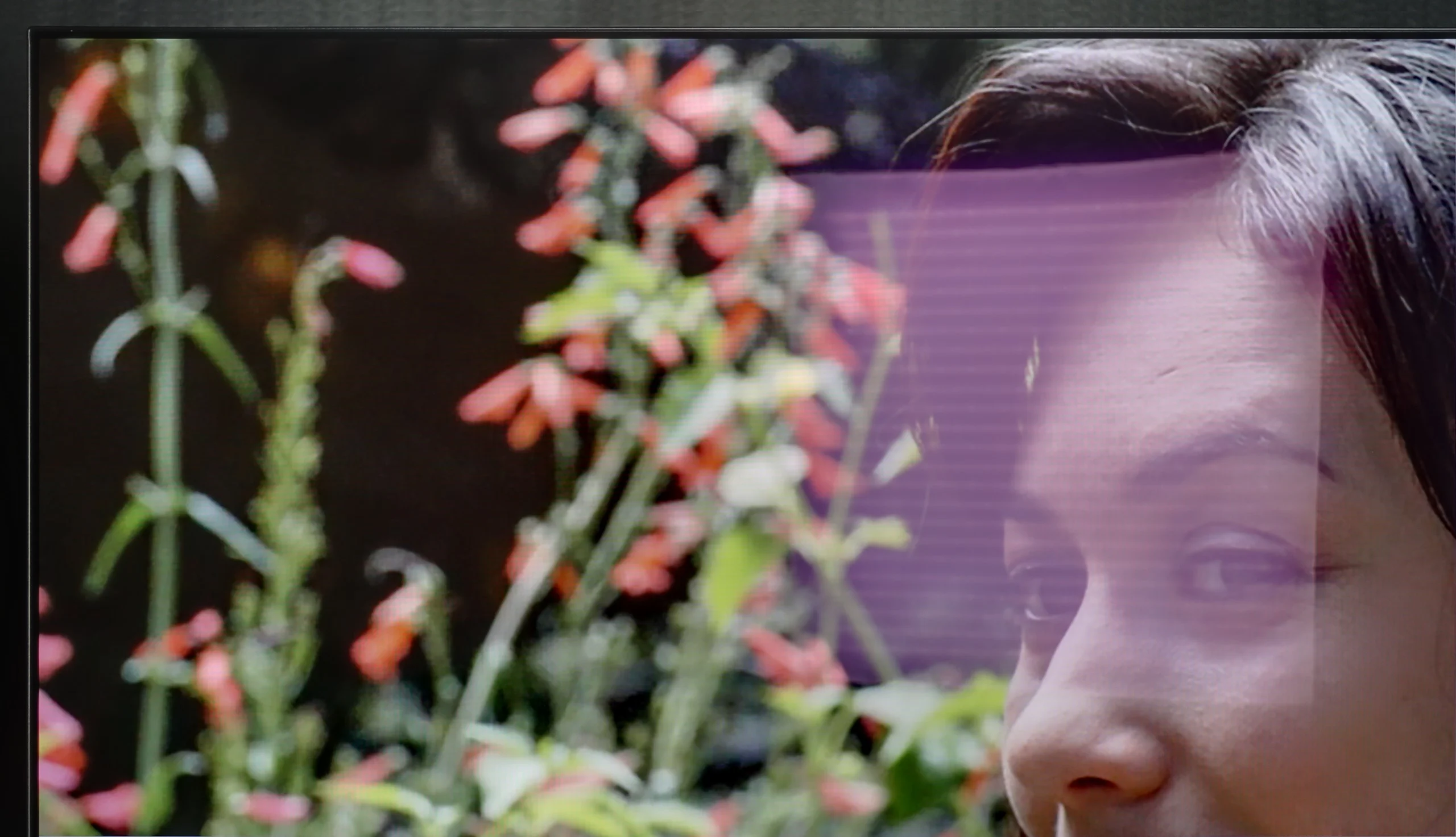 Review Philips OLED820 Daytime performance