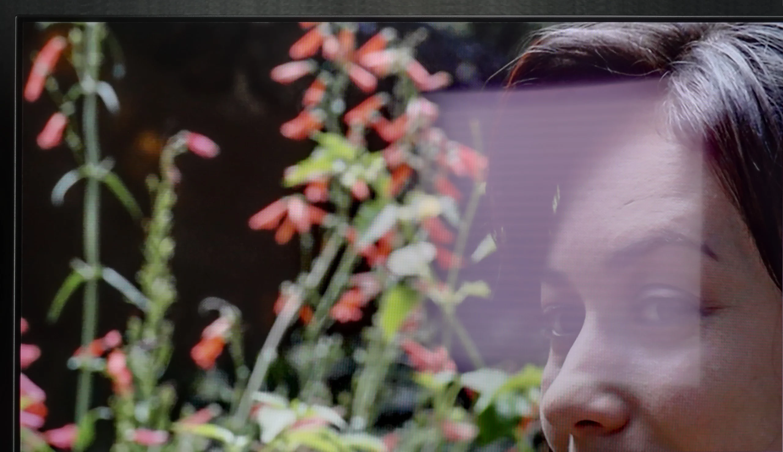 Review Philips OLED770 Daytime performance
