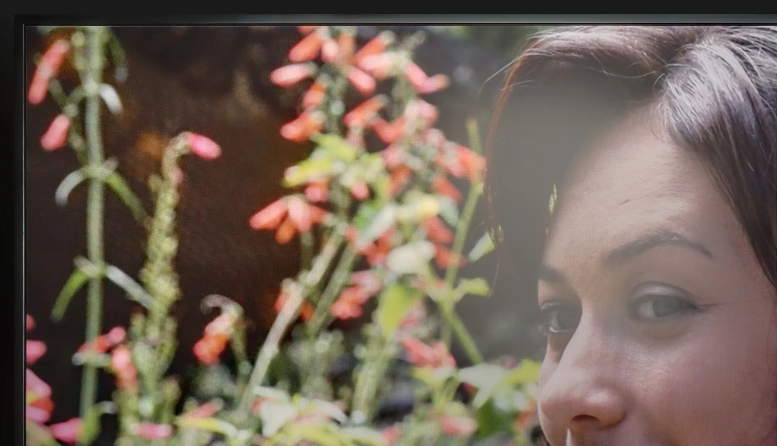 Review Samsung The Frame Pro Daytime performance
