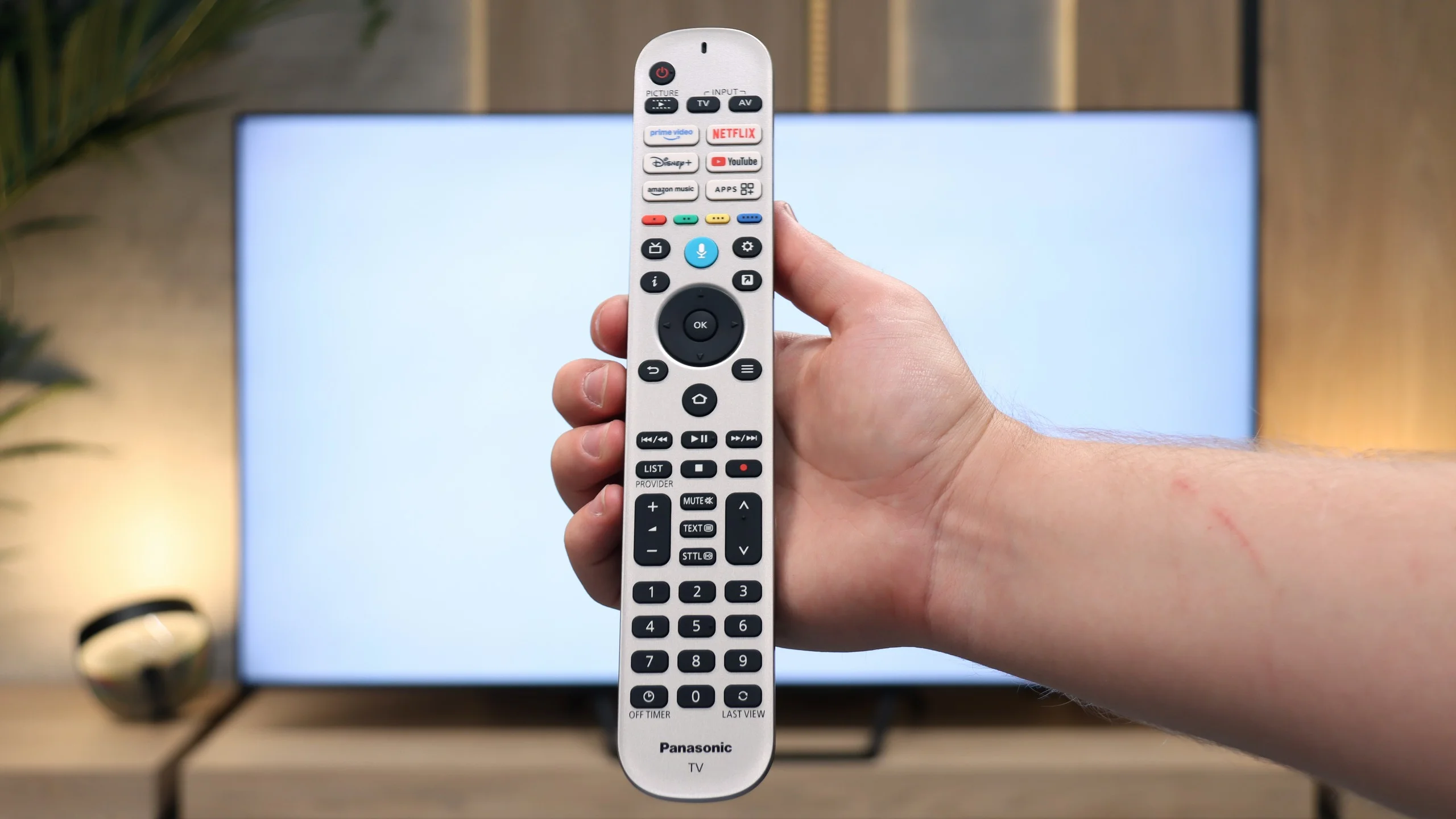 Review Panasonic W95B Appearance of the TV