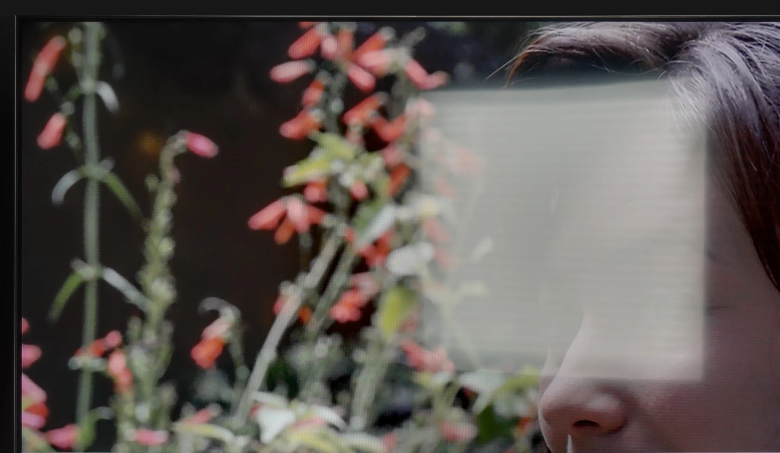 Test Panasonic W85B Sprawność ekranu w dzień