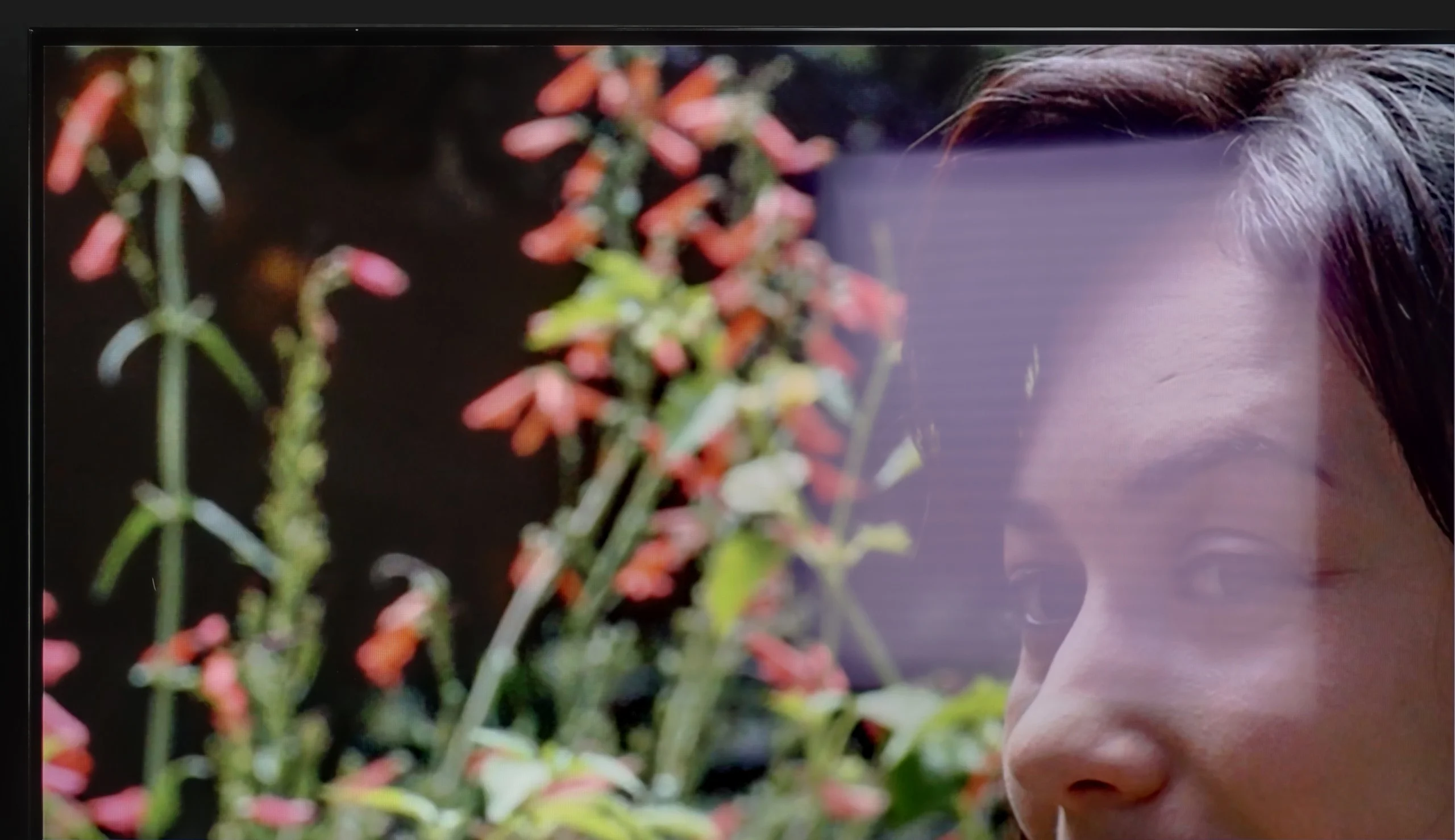 Test Samsung OLED S85F (WOLED) Sprawność ekranu w dzień