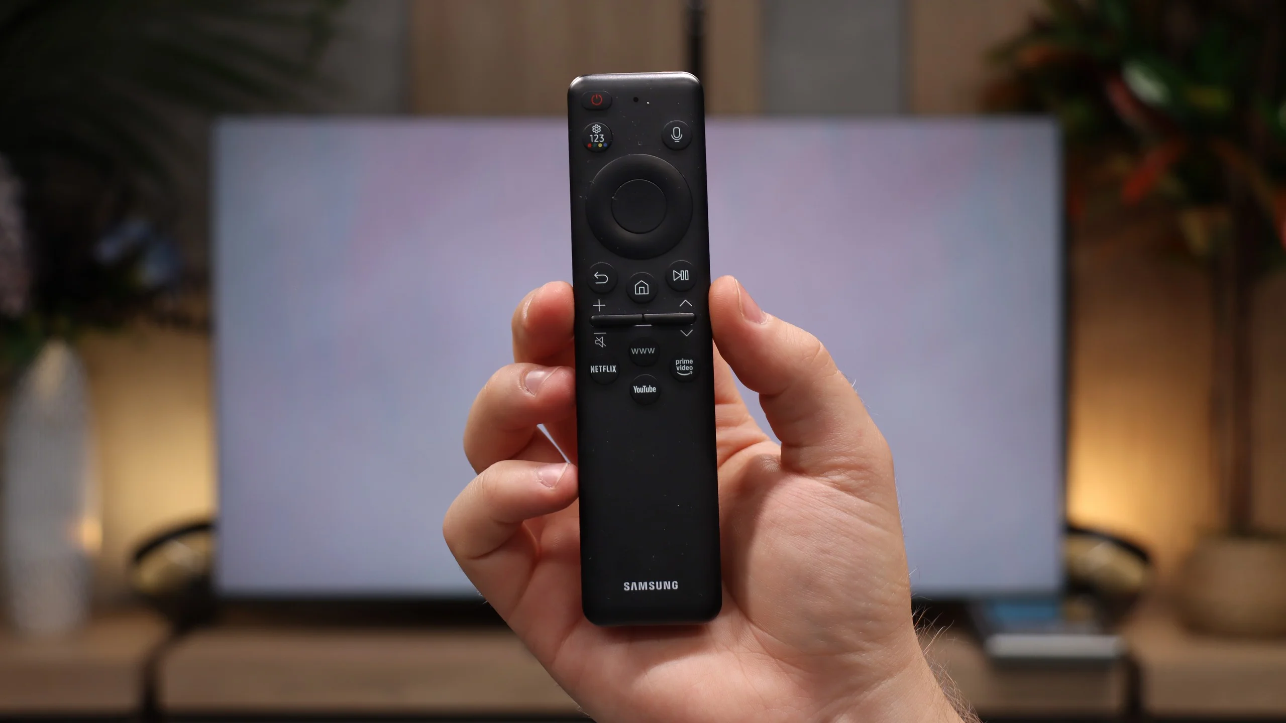 Review Samsung R95H Micro RGB  Appearance of the TV