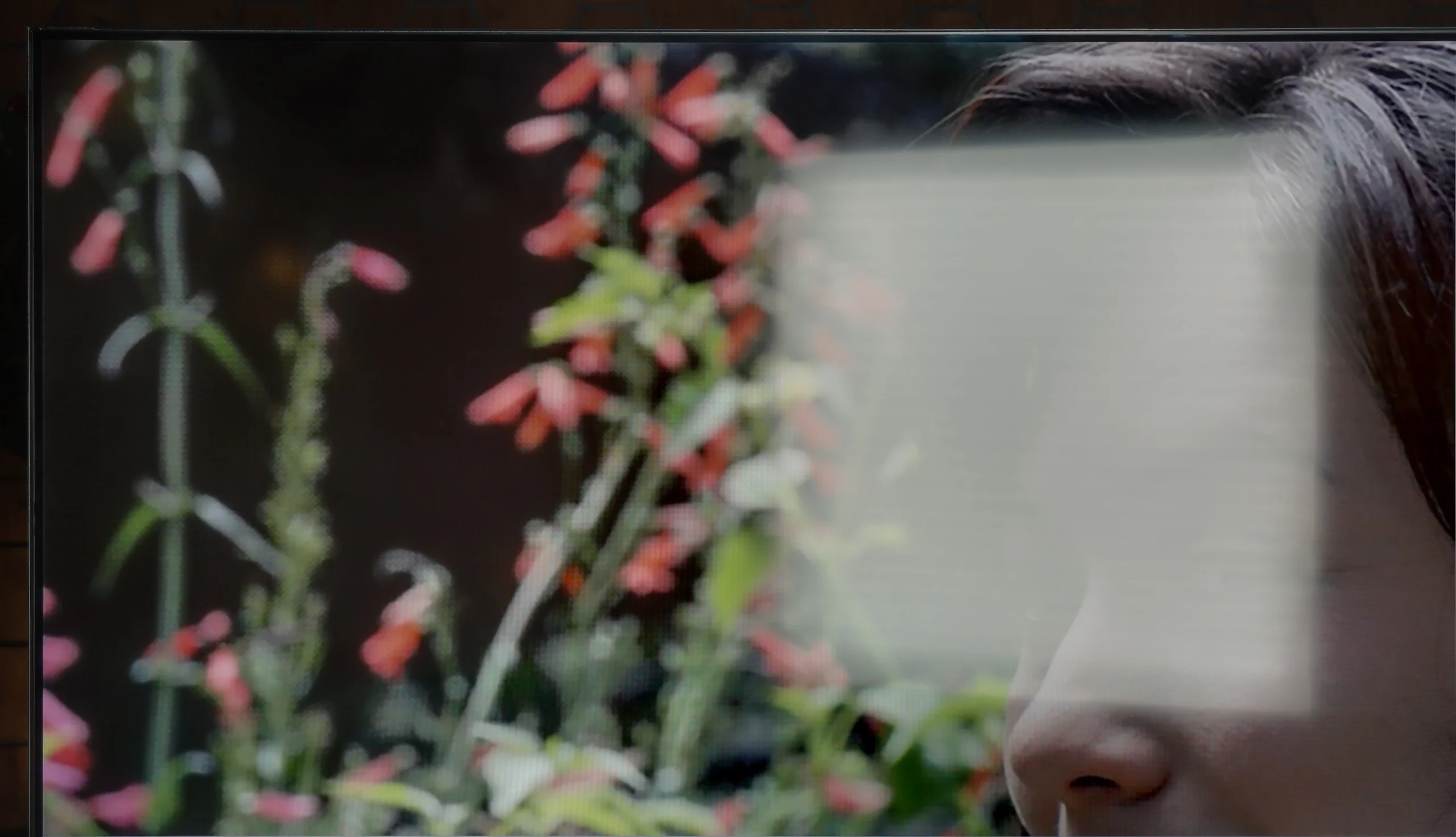 Review Kiano Elegance Tizen Daytime performance