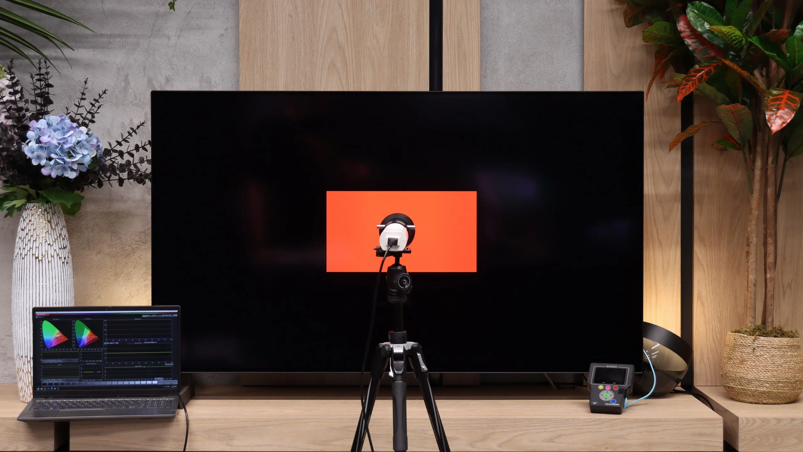 Review LG OLED B6 TV features