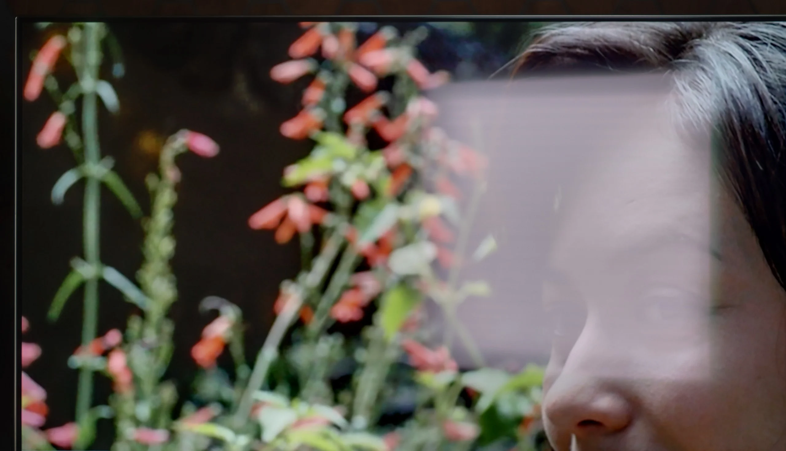 Review LG OLED B6 Daytime performance
