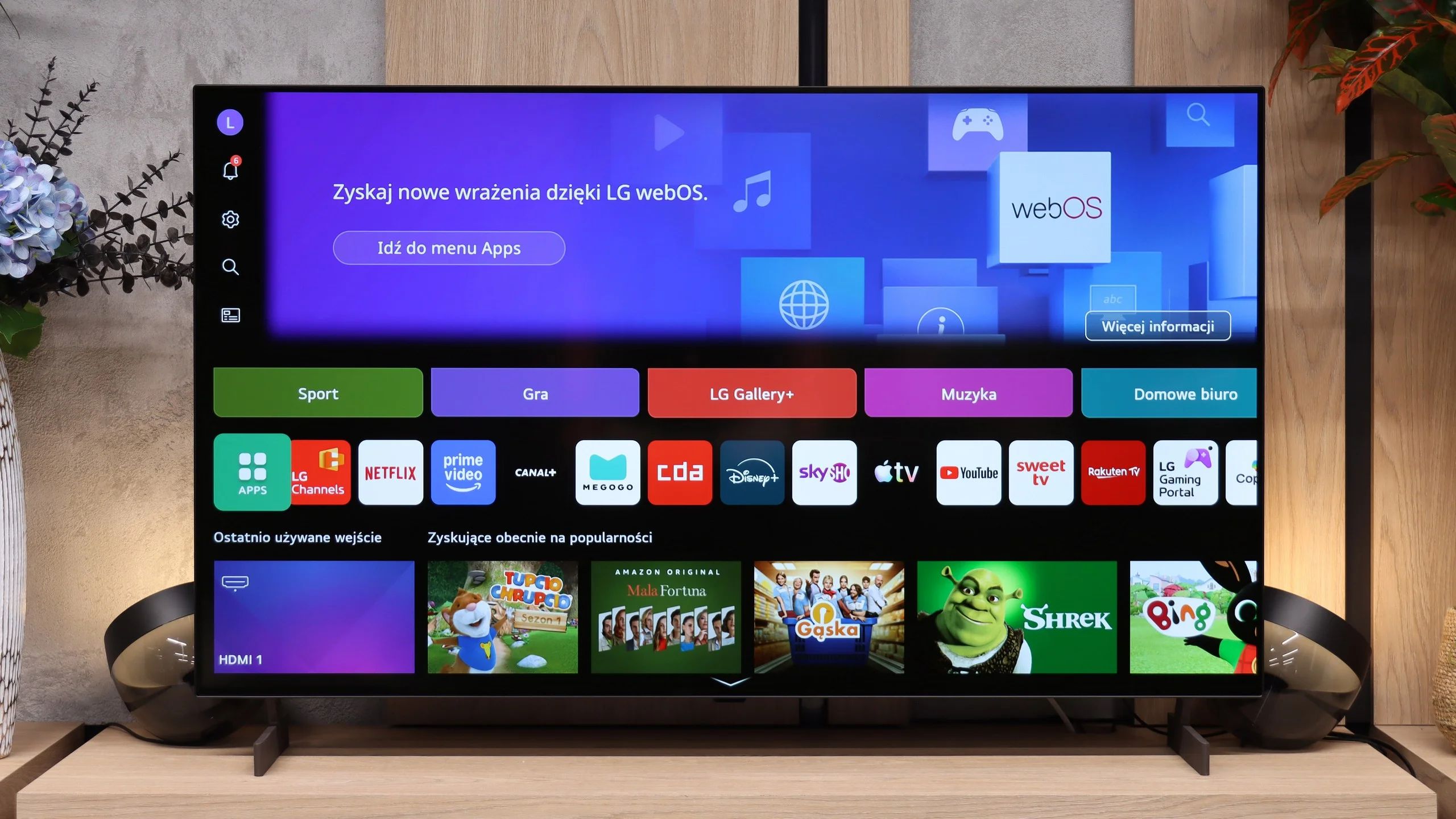 Review LG OLED B6 Appearance of the TV