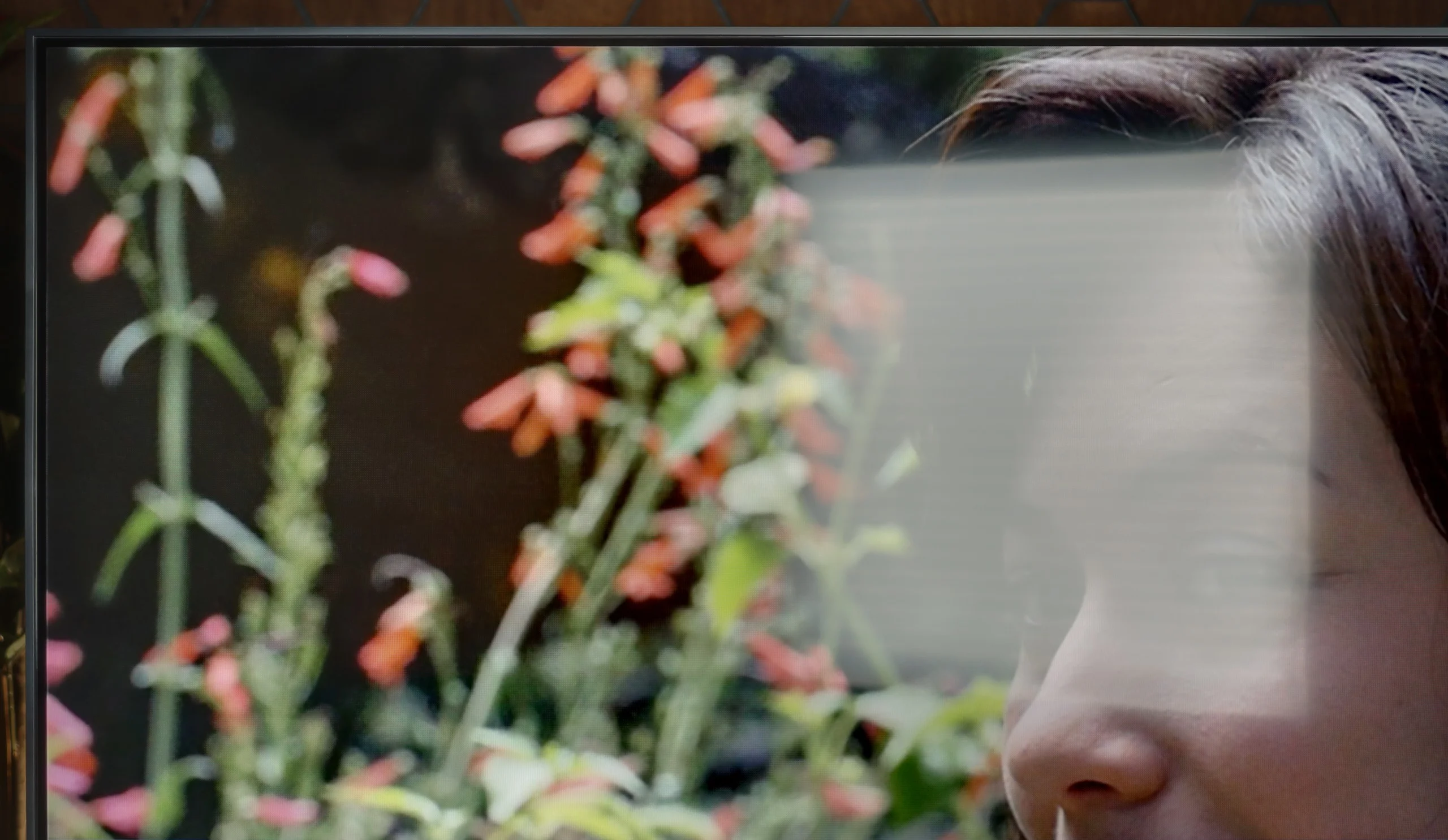 Review LG MRGB85B Daytime performance