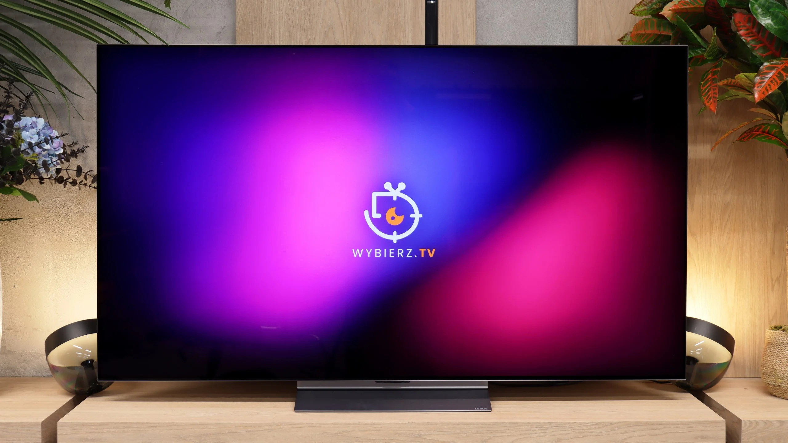Review LG OLED C6 (WOLED) Appearance of the TV