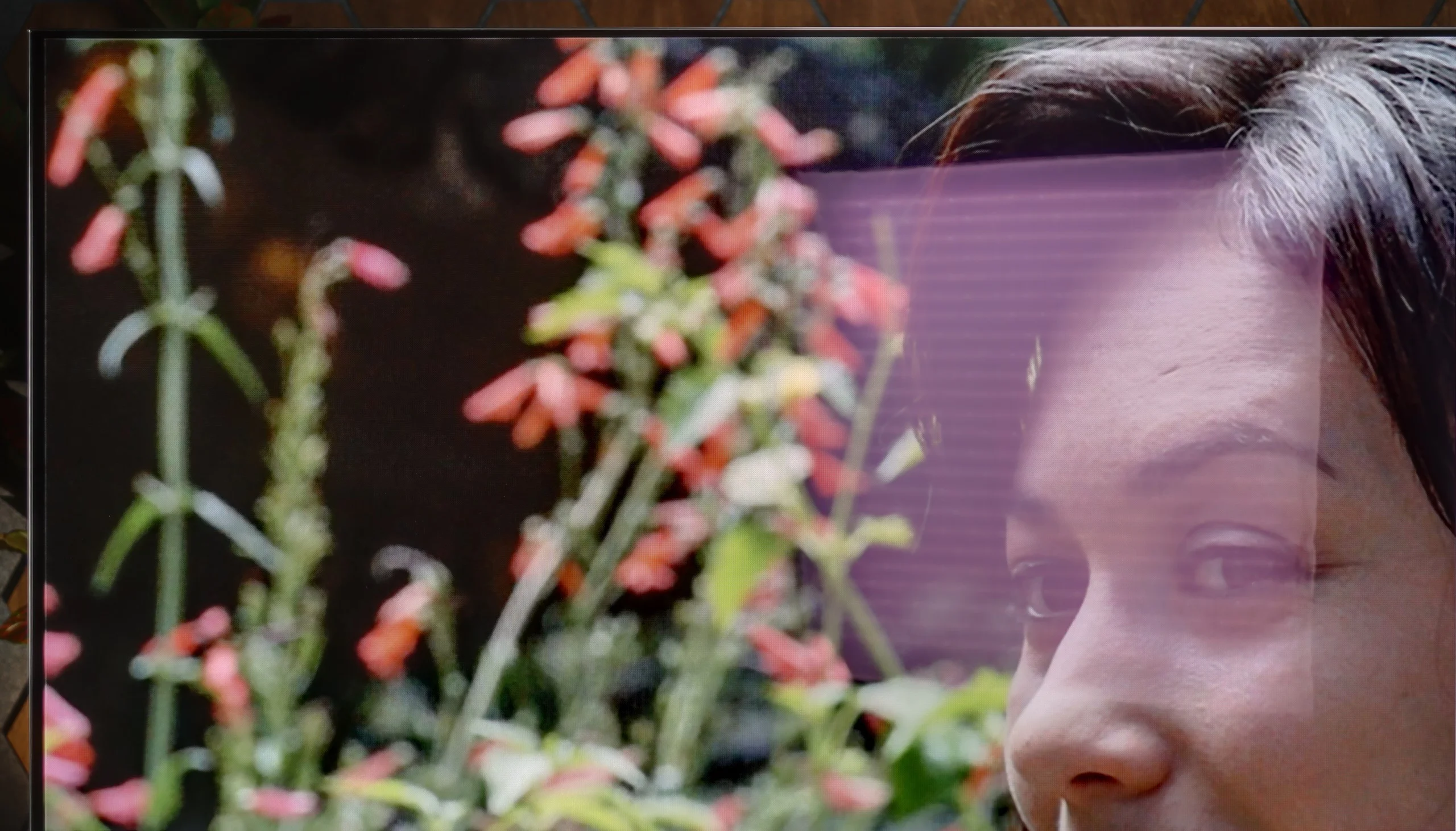 Review LG OLED C6 (WOLED) Daytime performance