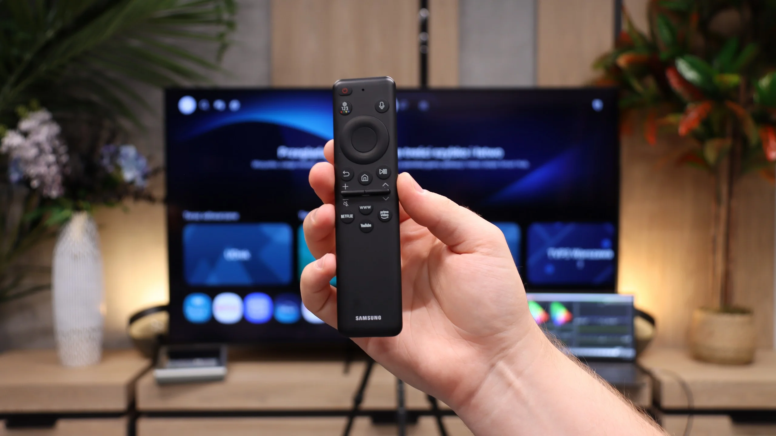 Review Samsung S85H Appearance of the TV
