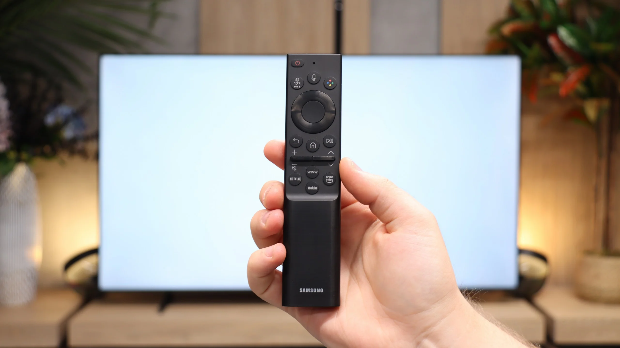 Review Samsung M80H Appearance of the TV