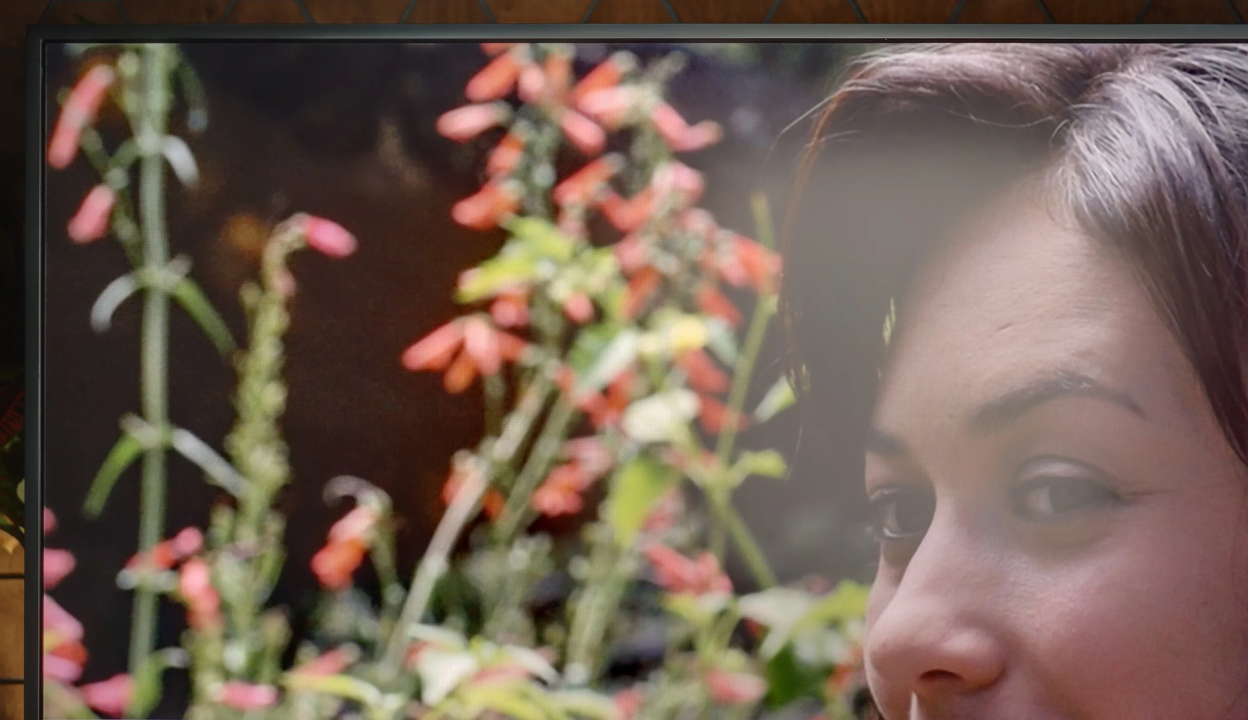 Test Samsung The Frame Pro 2026 (LS03HW) Sprawność ekranu w dzień