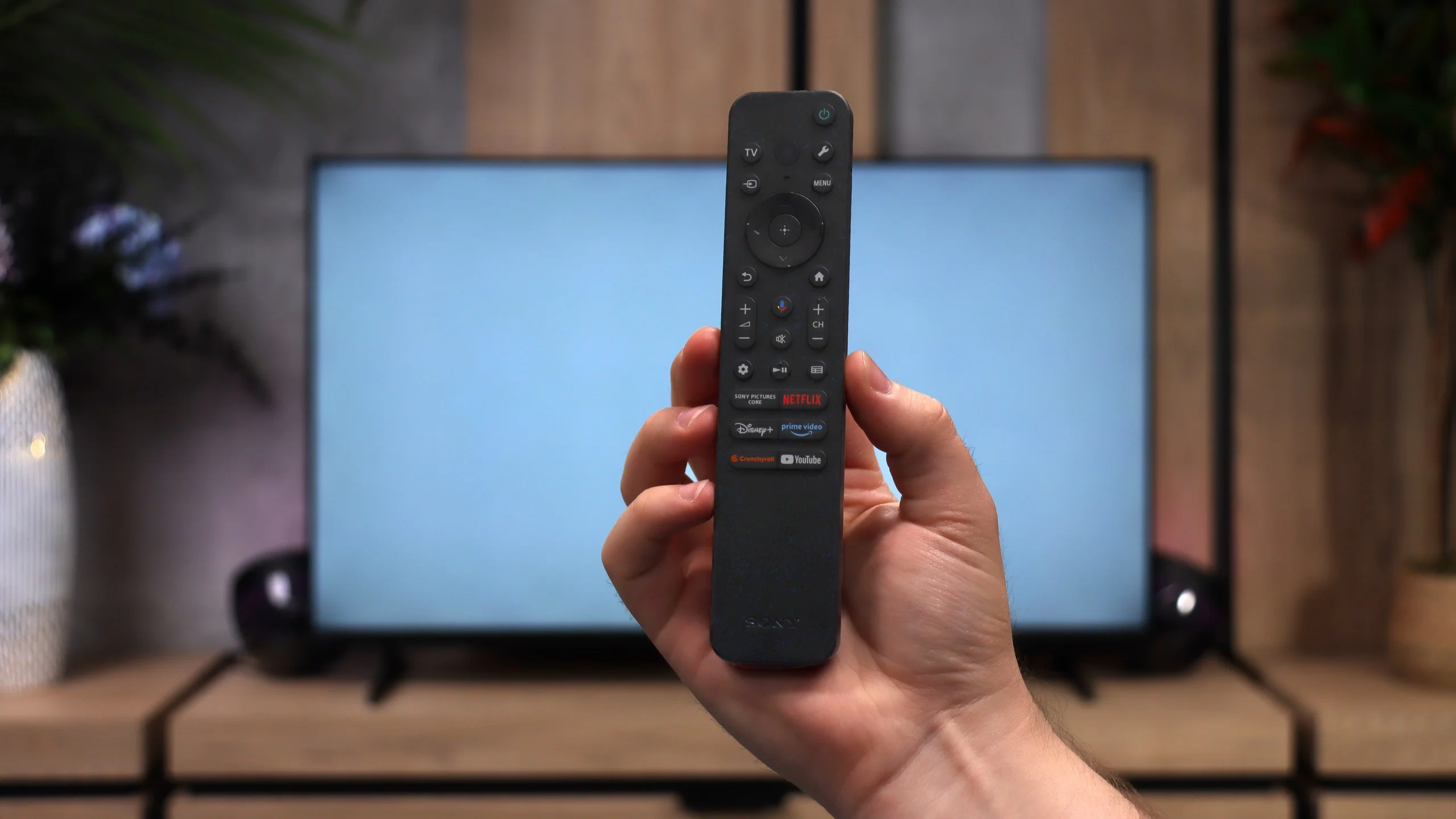 Review Sony BRAVIA 2 II (S25M2) Appearance of the TV