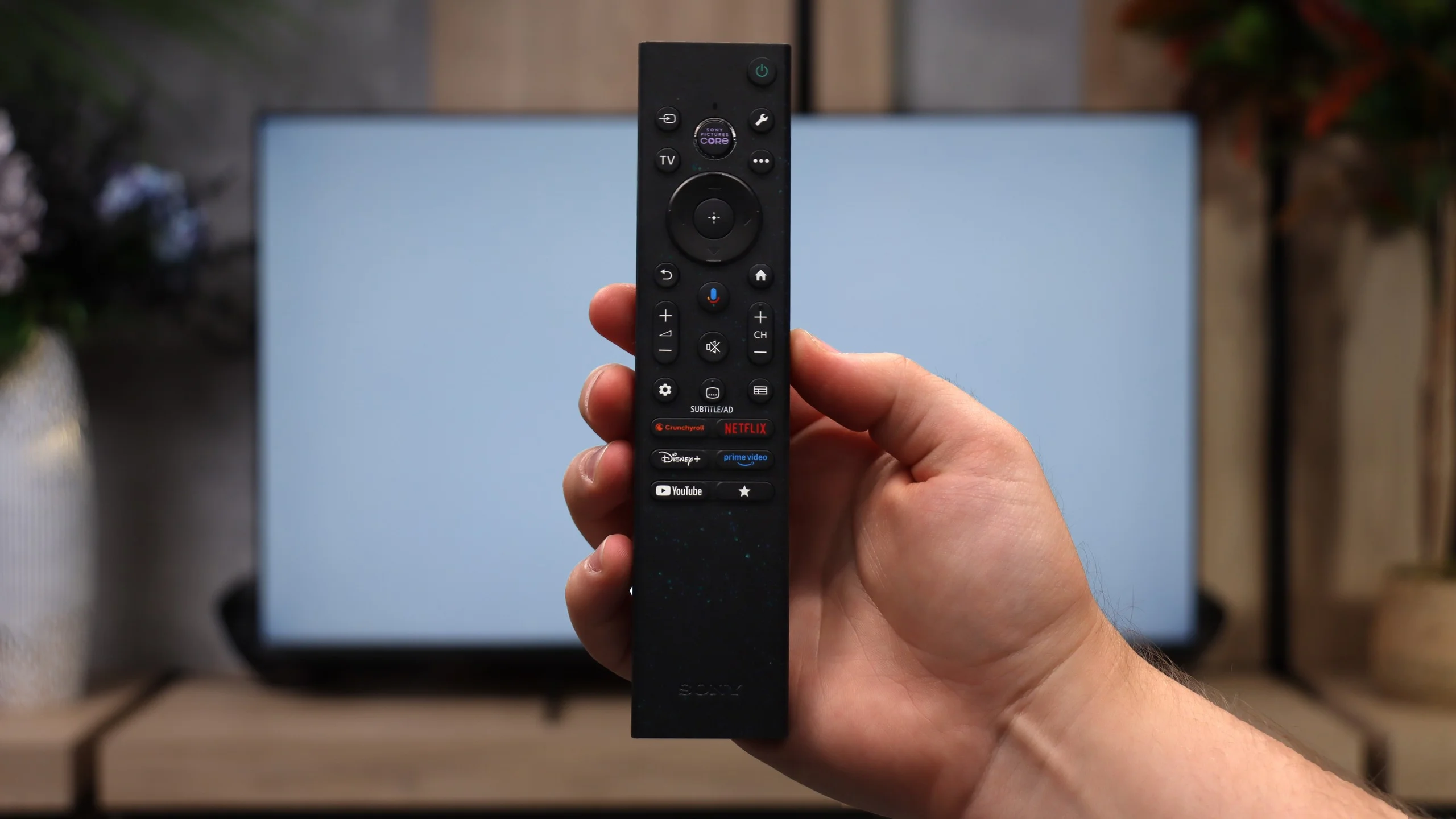 Review SONY BRAVIA 3 II (XR35M2) Appearance of the TV