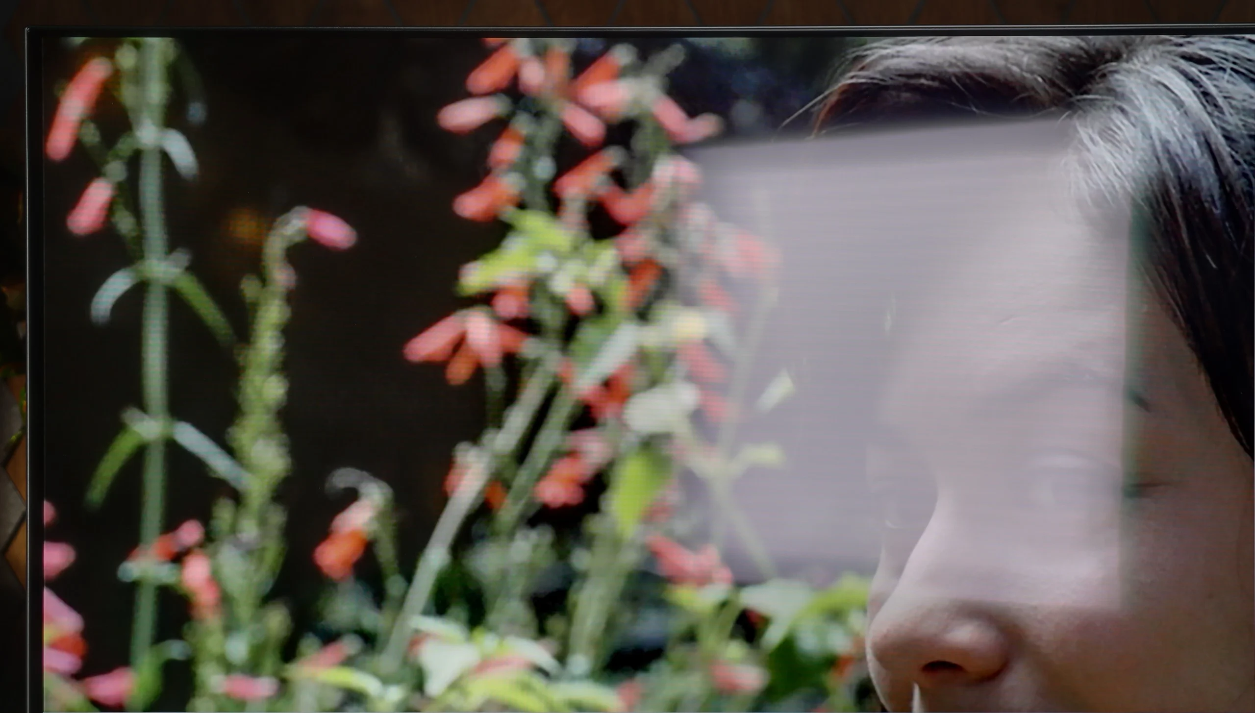 Review Philips OLED761 Daytime performance